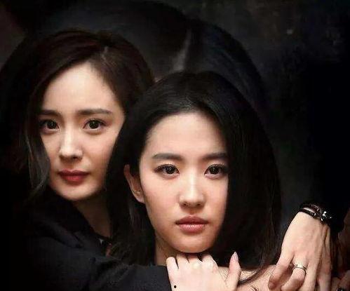 娱乐圈吃瓜有哪方面,揭秘明星背后的故事与真相