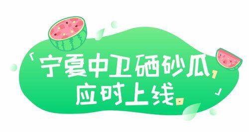 娱乐吃瓜文案去哪里找啊,热门平台攻略一览